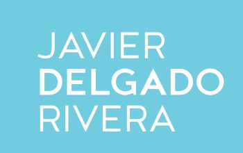 Seguros Javier Delgado Rivera