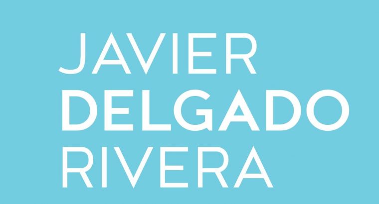 Seguros Javier Delgado Rivera