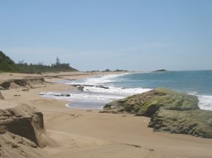 Playa Punta Sardina