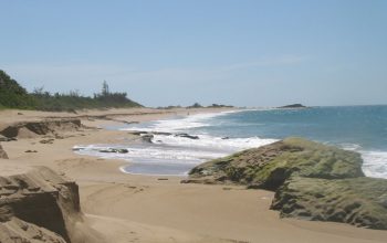 Playa Punta Sardina