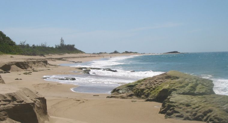 Playa Punta Sardina