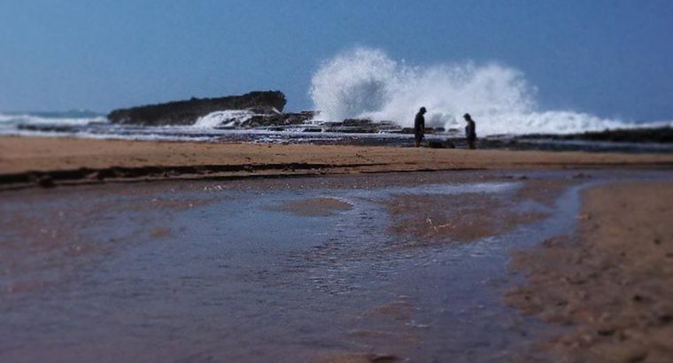 Playa Punta Sardina