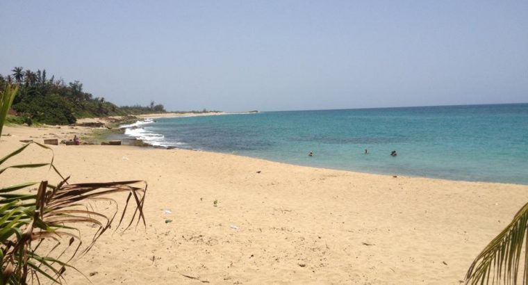 Playa Punta Sardina