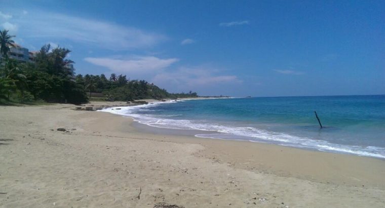 Playa Punta Sardina