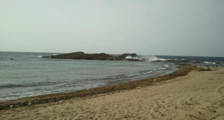 Playa Punta Sardina