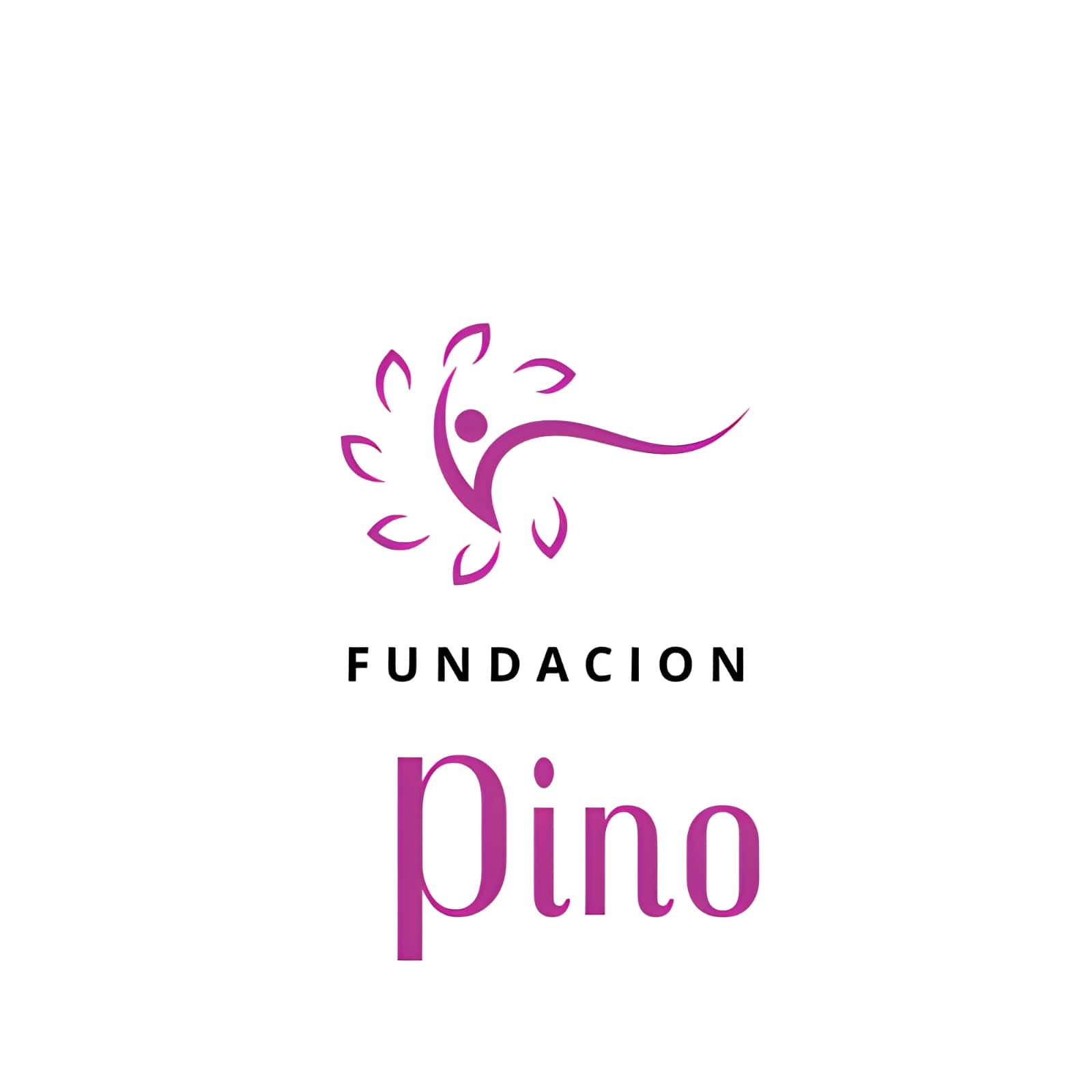 Fundacion Pino